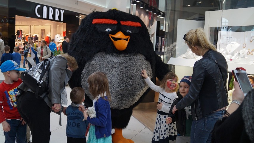 Angry Birds Tour, czyli spotkanie z bohaterami filmu w Bydgoszczy [zdjęcia, wideo] 