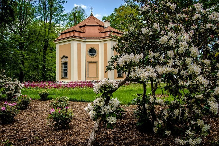 Wałbrzych: Park książański wygląda kwitnąco (ZDJĘCIA)