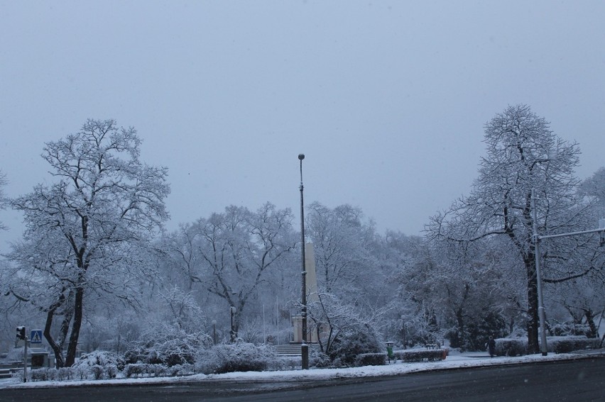 Pierwszy śnieg w Głogowie