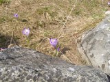 Pierwsze oznaki wiosny w Tatrach
