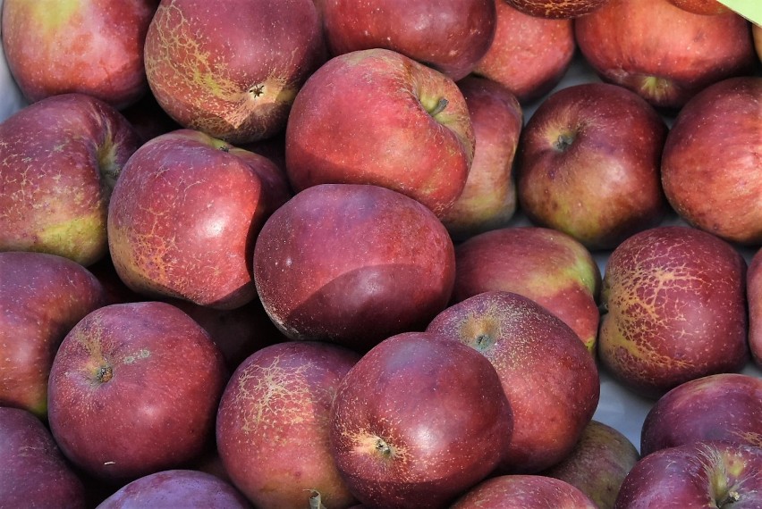 Światowy Dzień Jabłka: ceny na zielonym rynku