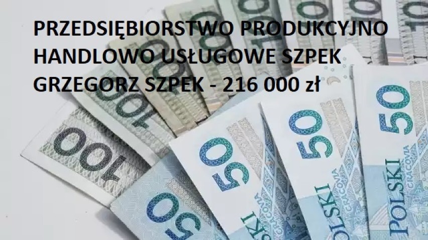 Tarcza Finansowa PFR 2.0. Te firmy z Pleszewa i powiatu otrzymały największe subwencje