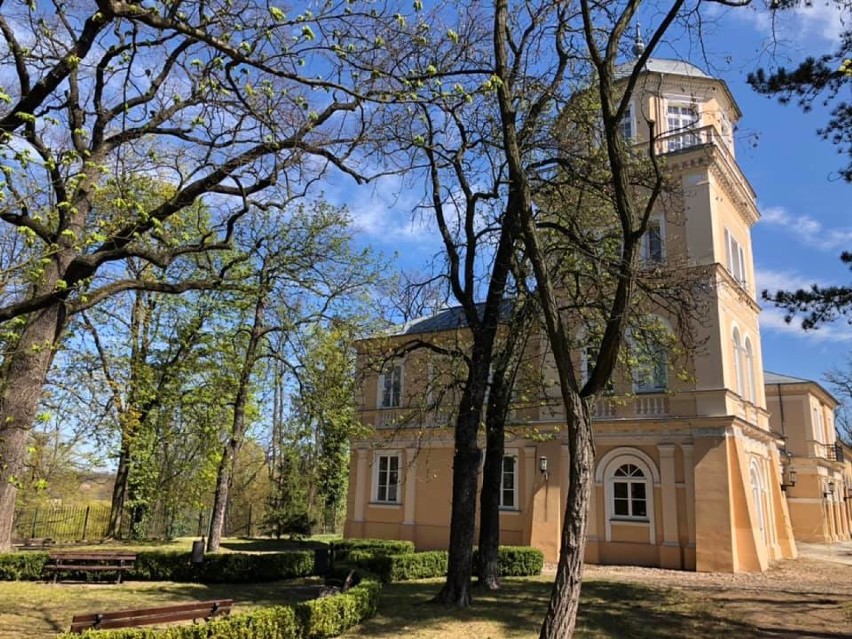Wiosna 2020 w przypałacowym parku Muzeum im. hr. Ostrowskiego w Tomaszowie [zdjęcia]