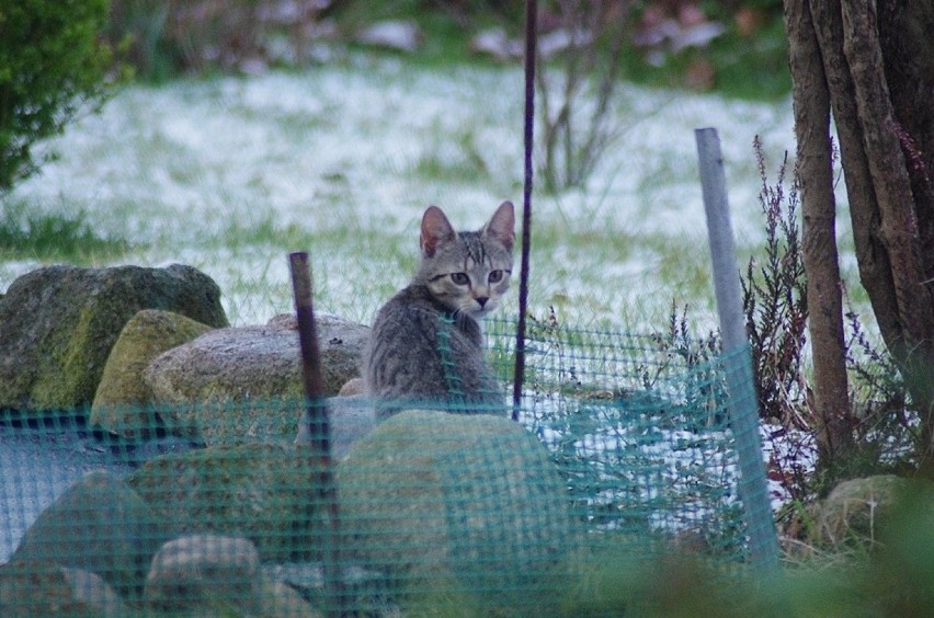 Rajmund Ociepa od lat fotografuje przyrodę w naszym regionie