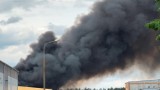 Pożary nie tylko w Grecji. Ogień zbliża się do Dubrownika i Lizbony, płoną lasy wokół popularnego kurortu w Turcji