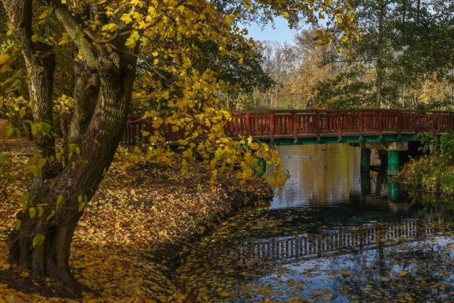 Jesień w Poznaniu w ubiegłych latach