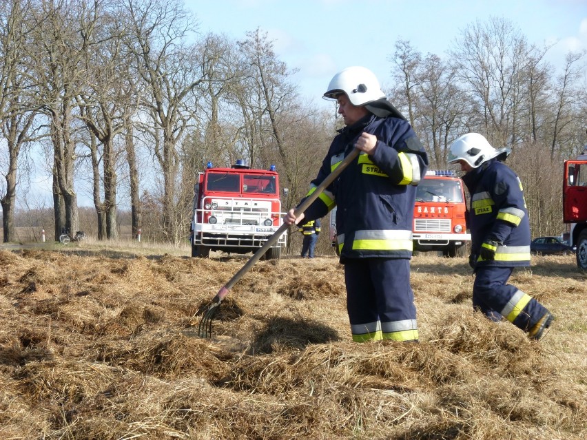 W okolicy miejscowości Laski strażacy walczyli z pożarem...
