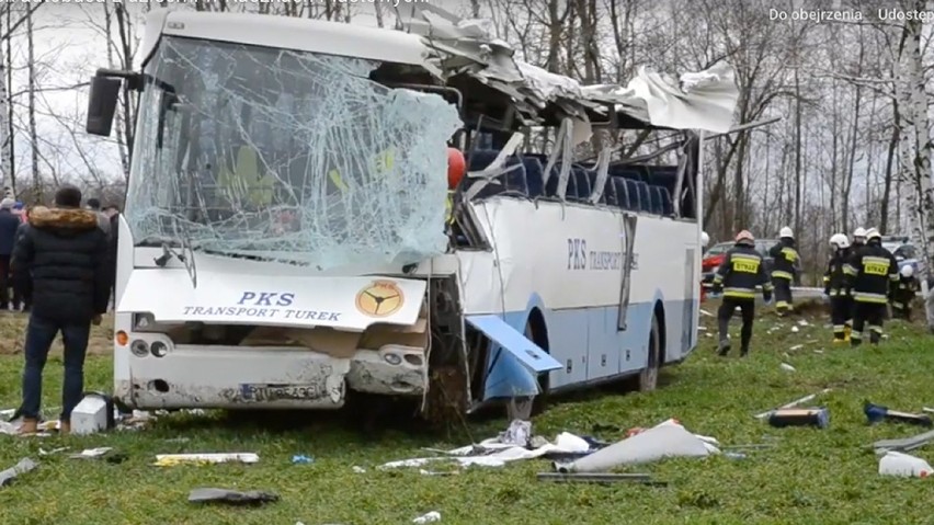 Wypadek w Kaczkach Piastowych . Wiatr zepchnął na drzewo autobus szkolny  wiozący dzieci