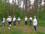 Marsz Nordic Walking studentów Uniwersytetu Trzeciego Wieku 2014 w Radomsku