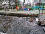 Cała nadzieja w deszczu. Jezioro w Szczecinku odżywa po każdym opadzie [zdjęcia]