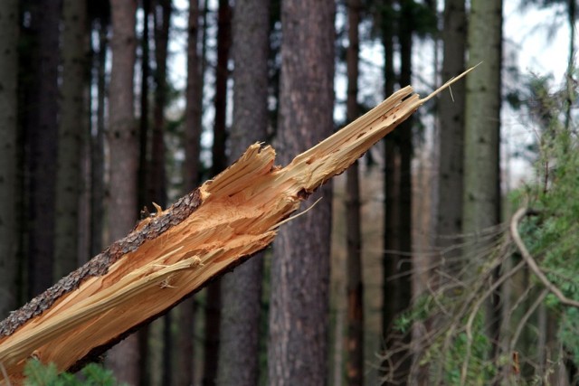 Krajowa ósemka jest całkowicie zablokowana