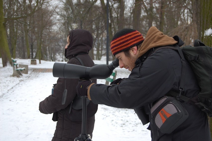 Zimowe Ptakoliczenie 2015. Eko-Inicjatywa i muzeum zapraszają do podglądania skrzydlatych przyjaciół