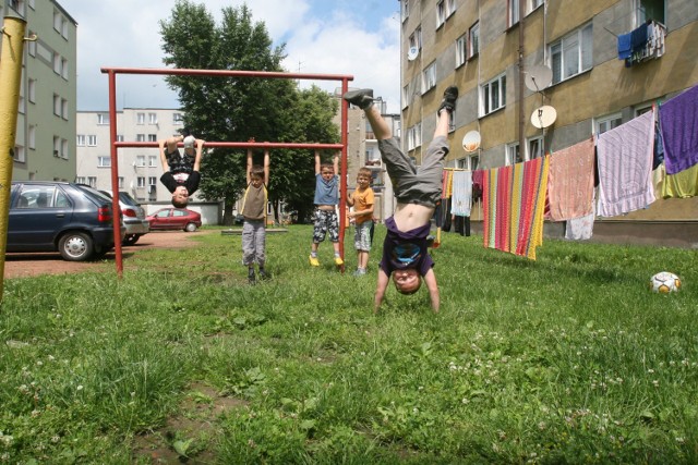 Miasto ogłosiło konkurs na Najładniejsze podwórko w Raciborzu