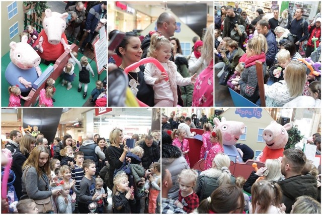 Świnka Peppa i jej młodszy brat George zaprosili małych włocławian do Wzorcowni. Wyjątkowi goście przygotowali niespodzianki - można było zrobić sobie foto z Peppą, obejrzeć przygody zwariowanego rodzeństwa, przybić piątkę z ulubionymi bohaterami i nagrać pozdrowienia dla Peppy. Do zdjęć ustawiła się długa kolejka. Nie zabrakło konkursów z nagrodami. Było głośno, kolorowo i wesoło.


Włocławek - akcja "Murem za Owsiakiem"

