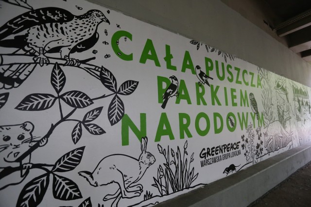 Mural dla Puszczy Białowieskiej. Nad Wisłą powstało wyjątkowe dzieło ku czci obrońców lasu