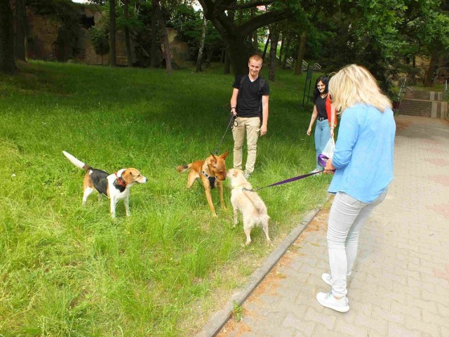 W Starachowicach odbyła się zbiórka dla zwierząt w schronisku