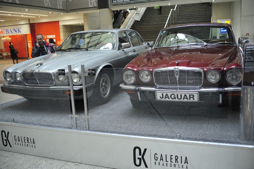 Wystawa lśniących Jaguarów w samym centrum Krakowa