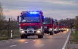 Kompania Heweliusz zakończyła działania  w Biebrzańskim Parku Narodowym - 5 strażaków z Tczewa już w domu