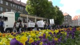 Marsz Wyzwolenia Konopi w Szczecinie: Nastolatkowie w przewadze [zdjęcia, film]