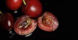 Robaczywe owoce? Sezon na maliny i jagody trwa, są też wiśnie i śliwki. Jak pozbyć się robaków? To trzeba wiedzieć