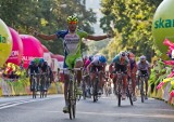 69. Tour de Pologne: Moreno Moser na razie liderem (ZDJĘCIA)