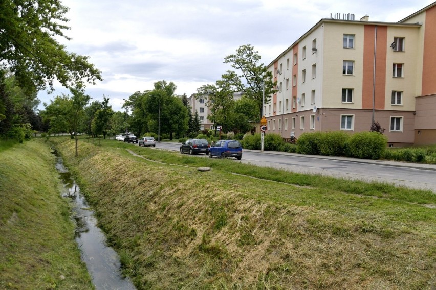 Spacer po ulicach Radomia. Osiedle Obozisko. Zobacz galerię zdjęć