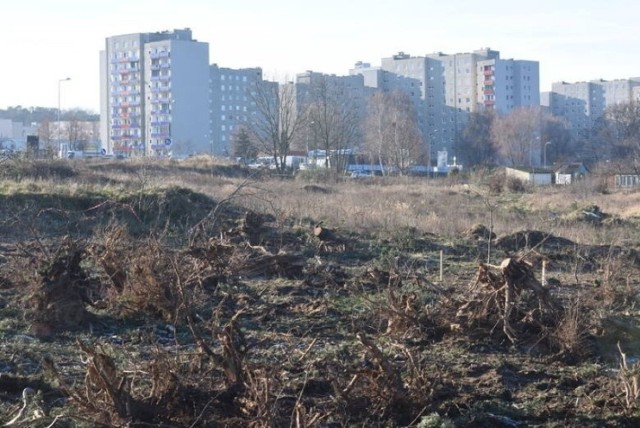 Na terenie przy Szosie Kisielińskiej, pomiędzy działkami a istniejącym już supermarketem powstaje nowy park handlowy pod marką Stop Shop