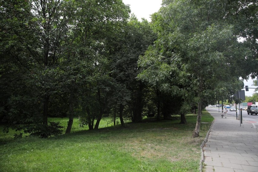 Park rzeczny powstanie nad rzeką Białuchą