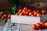 To się dzieje z organizmem, gdy jesz pomidory. Wzmacniają odporność i serce oraz ułatwiają odchudzanie. Dlaczego warto sięgać po pomidory?