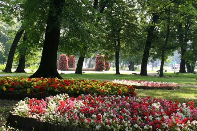 Park miejski przy Alei Jana Pawła II w Żarach