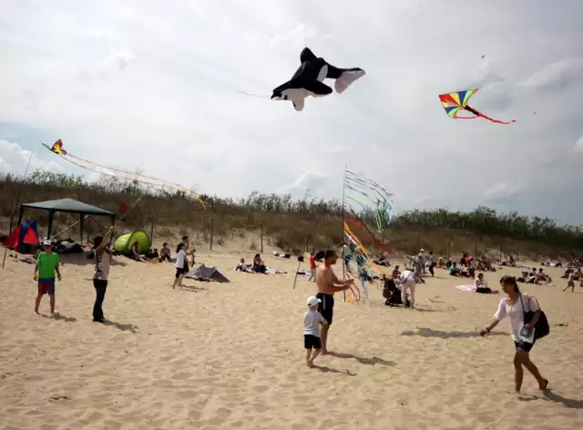 Nad plażą sobieszewską w niedzielę fruwały latawce