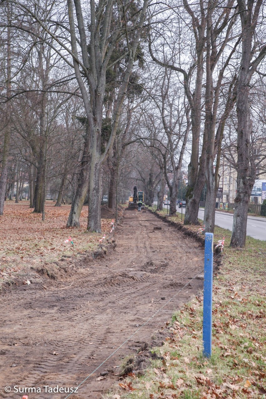 Ulica Spokojna. Rozpoczęła się budowa ścieżki rowerowej w Parku Batorego. Będzie miała 660 metrów. ZDJĘCIA
