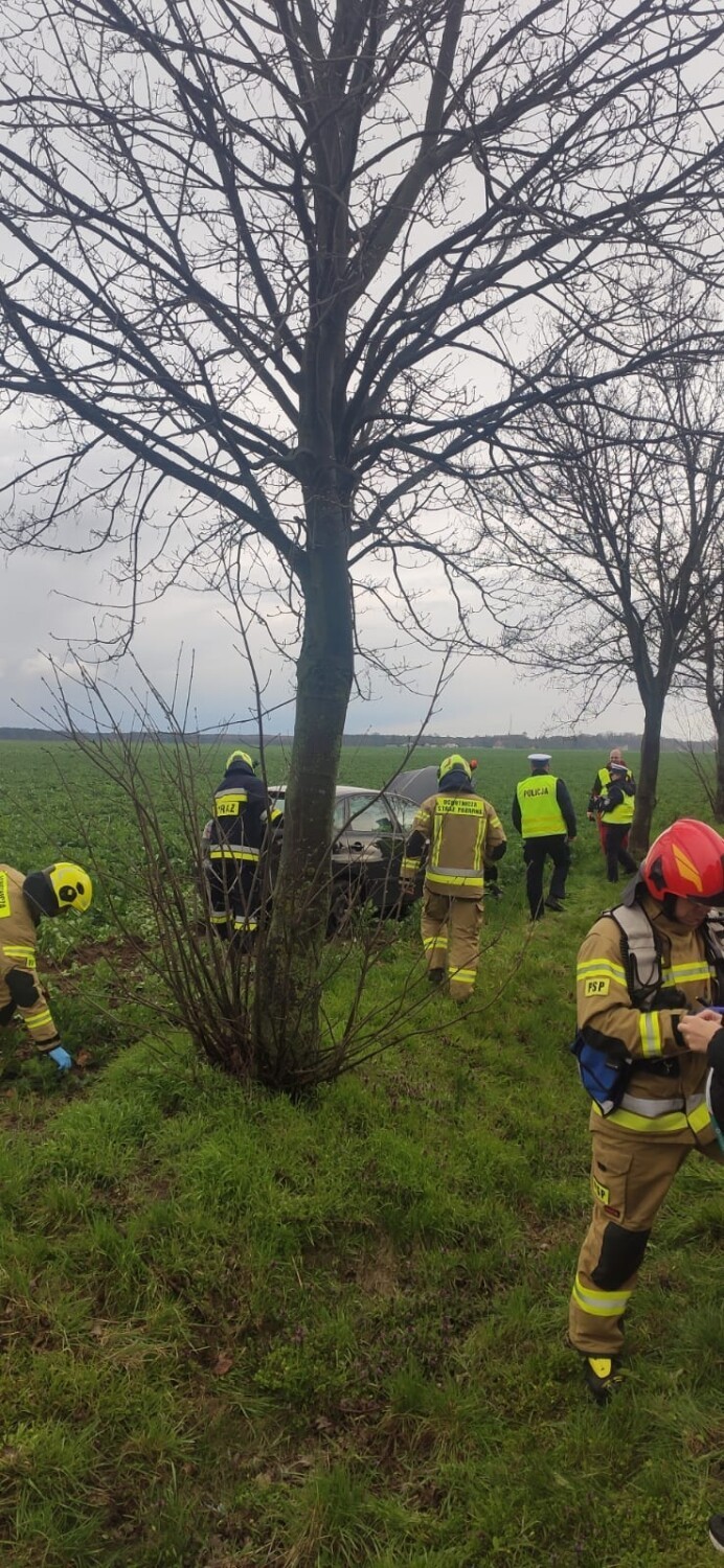 Wypadek na trasie Wolsztyn - Obra w miejscowości Krutla. Jedna osoba została poszkodowana i przewieziona do szpitala