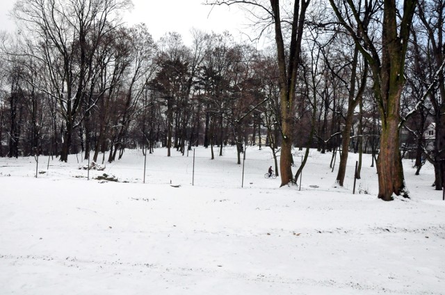 Historycy sztuki uważają, że było to potrzebne. Wyjaśniają: - Nie chodzi tu o "odtwarzanie nieistniejących budowli" kosztem zieleni, lecz o eksponowanie elementów zachowanych, cennych - napisali Zbigniew Beiersdorf i Bogusław Krasnowolski ze Społecznego Komitetu Odnowy Zabytków Krakowa.