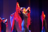 Pokaz flamenco w Legnicy [ZDJĘCIA]