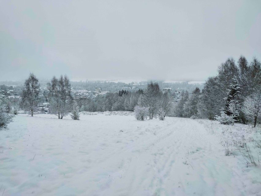 Zima w Górach Bystrzyckich. Zobacz zdjęcia pierwszego dużego śniegu w powiecie kłodzkim 