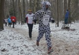 Trwają zapisy na Bieg Sylwestrowy 2016. Zapisało się już 500 zawodników