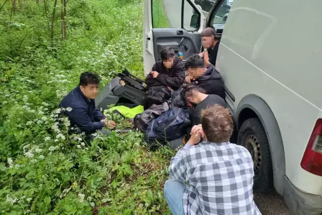 W okolicach Olchówki w gminie Narewka zatrzymano kurierów nielegalnych migrantów