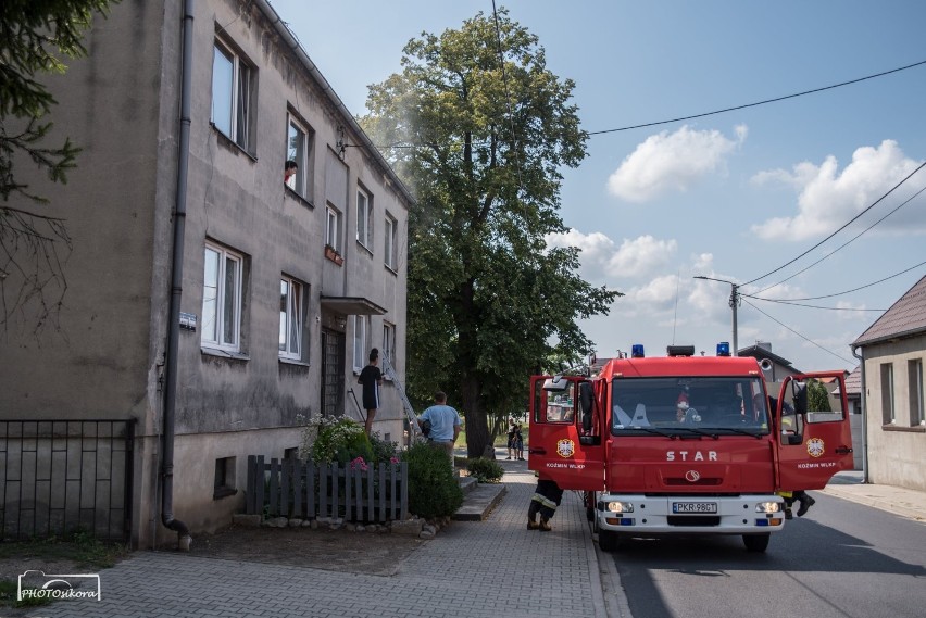 Z AKCJI: Strażacy wezwani do pożaru mieszkania gasili... przypalony garnek [ZDJĘCIA]