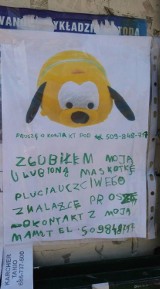 W Mosinie trwają poszukiwania zaginionego pluszaka. Do akcji włącza się wielu mieszkańców Mosiny. 