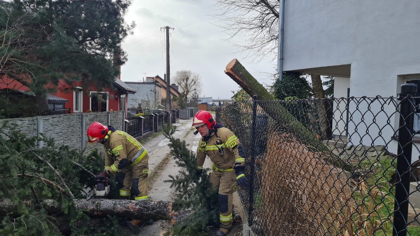 Weekendowe wichury dały się we znaki mieszkańcom powiatu kościańskiego. Strażacy byli wzywani do powalonych drzew i uszkodzonych dachów 