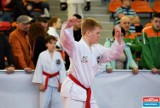 Międzynarodowy Turniej Taekwondo Master Cup w oleśnickiej hali (ZDJĘCIA) 