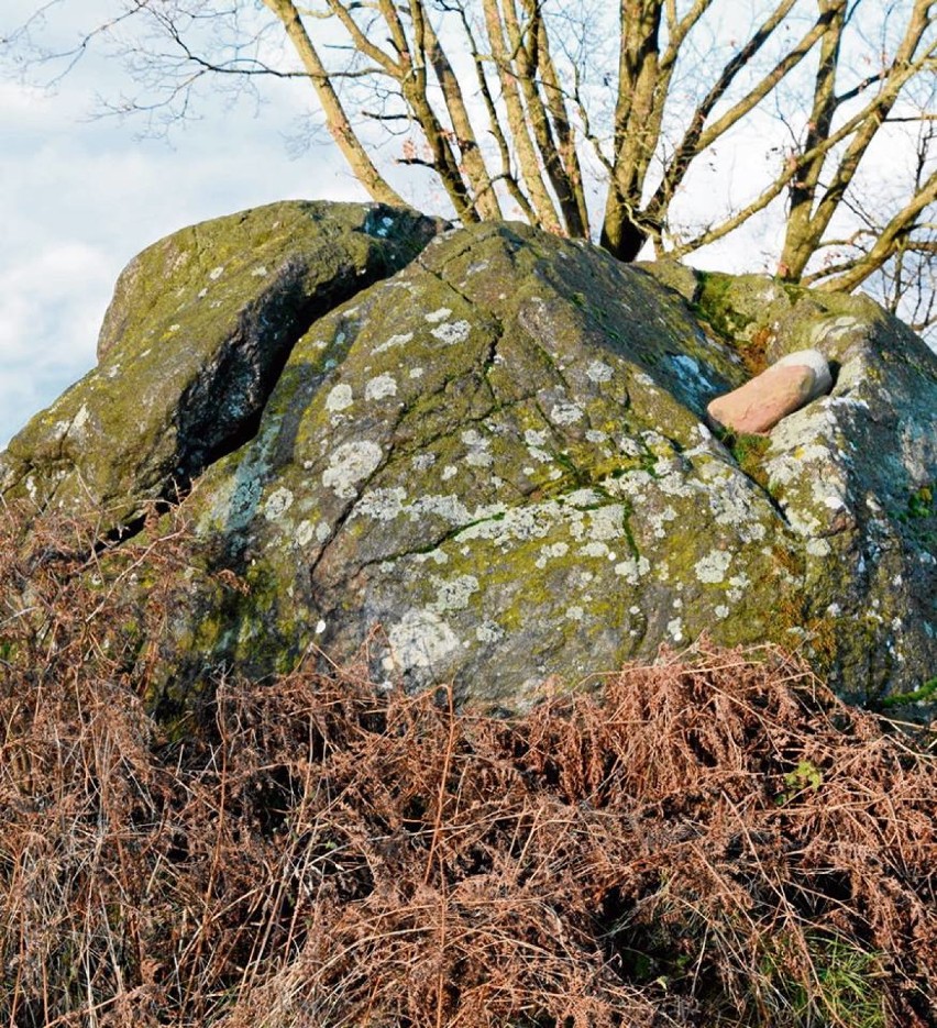 Miastko dawniej i dziś - wystawa w Bad Fallingbostel. Wyślij swoje zdjęcia (FOTO)