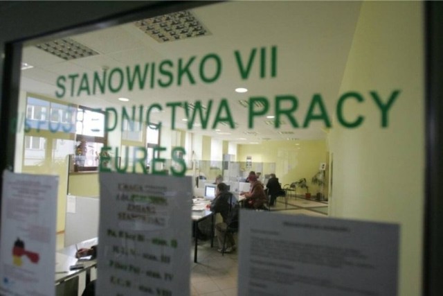 Oferty pracy w powiecie sępoleńskim. Znane firmy poszukują pracowników >>>>>