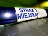 Straż miejska Jelenia Góra: Strażnicy szukają oprawcy