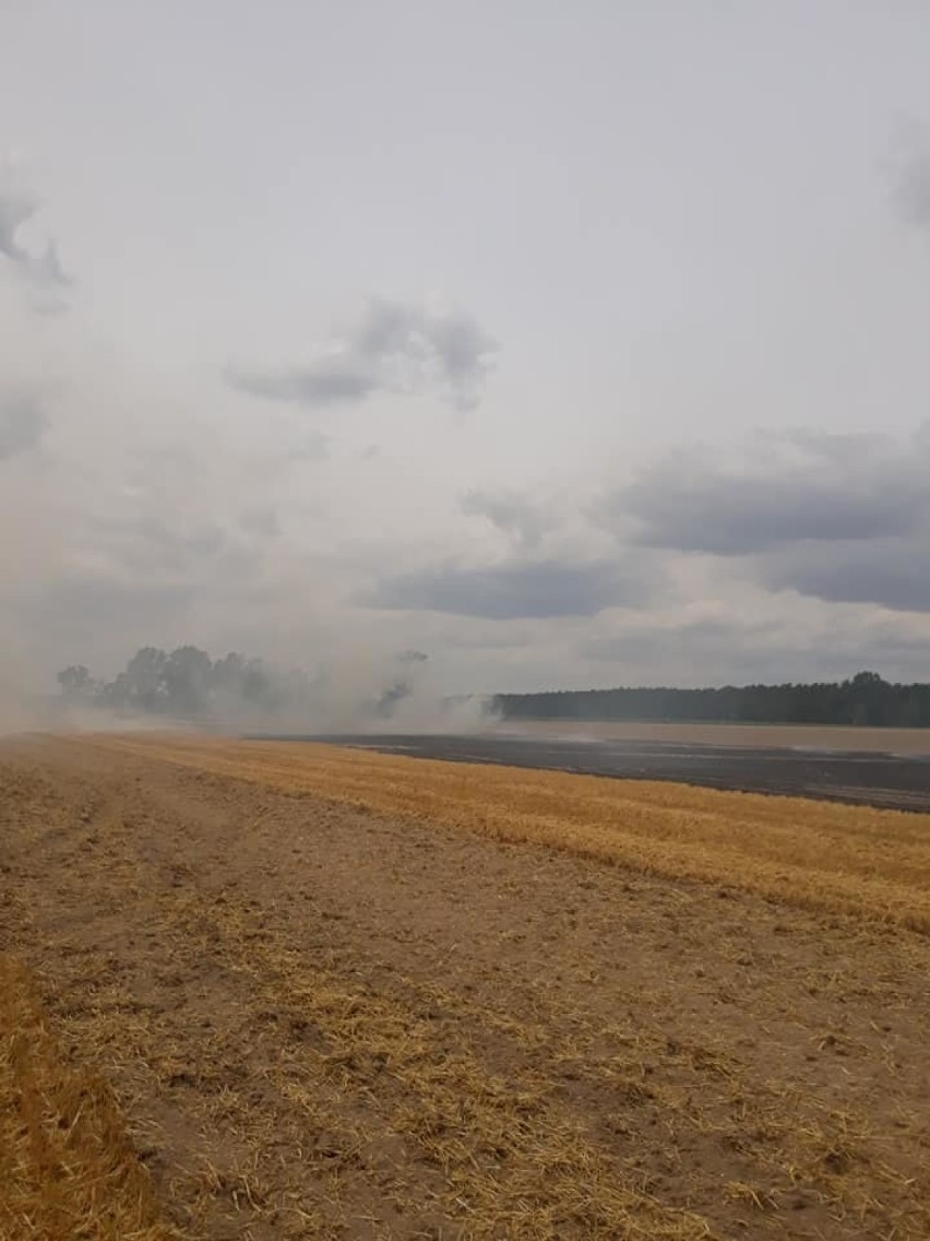 Pożar ścierniska w Goraninie. Zastęp z Czerniejewa z problemami na miejscu zdarzenia [FOTO, FILM]