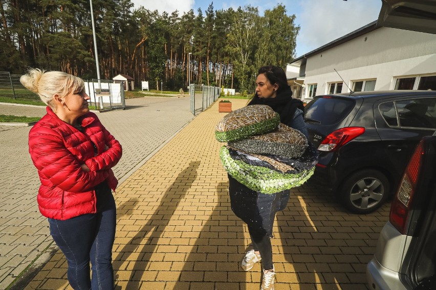 Bezdomne zwierzaki ze schroniska w Dobrej dostały nowe legowiska