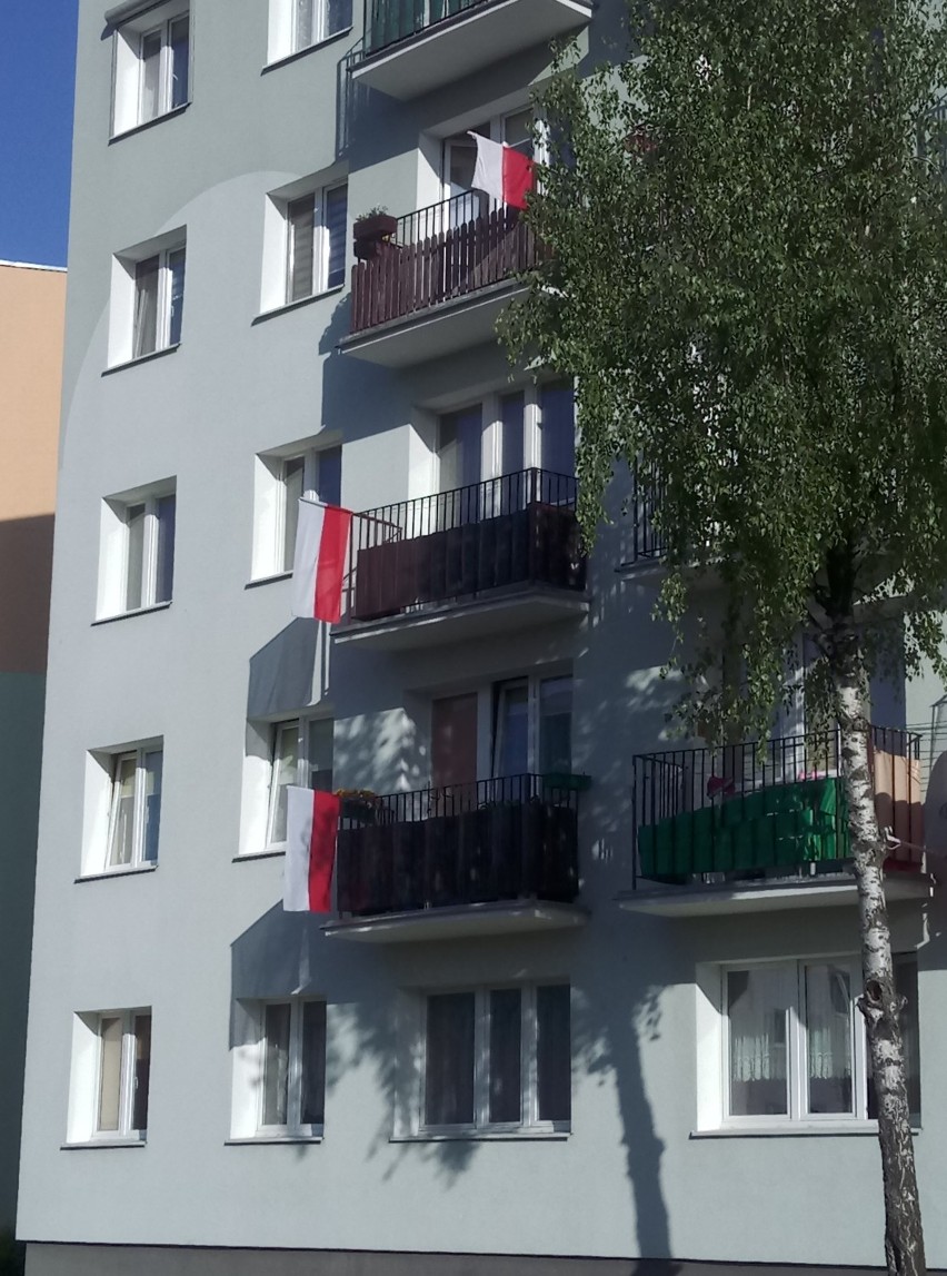 Biało-czerwone flagi zawisły na ulicach Wągrowca. Dziś mamy Dzień Flagi Rzeczypospolitej Polskiej [ZDJĘCIA]