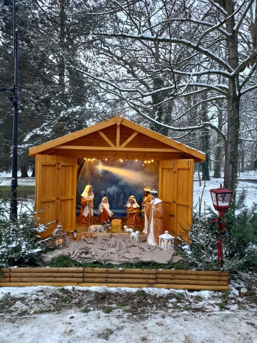 Rakoniewice: Bożonarodzeniowa szopka stanęła w parku miejskim
