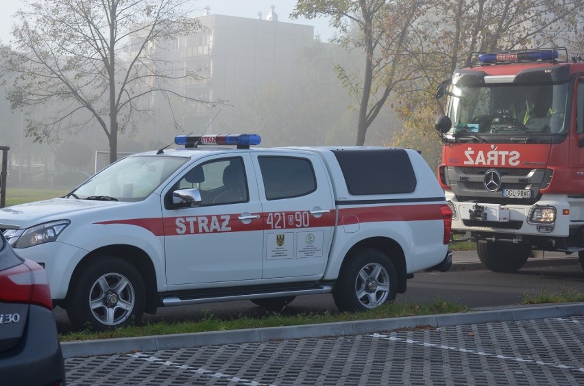 Głogów: Strażacka akcja przy ulicy Dziadoszan 